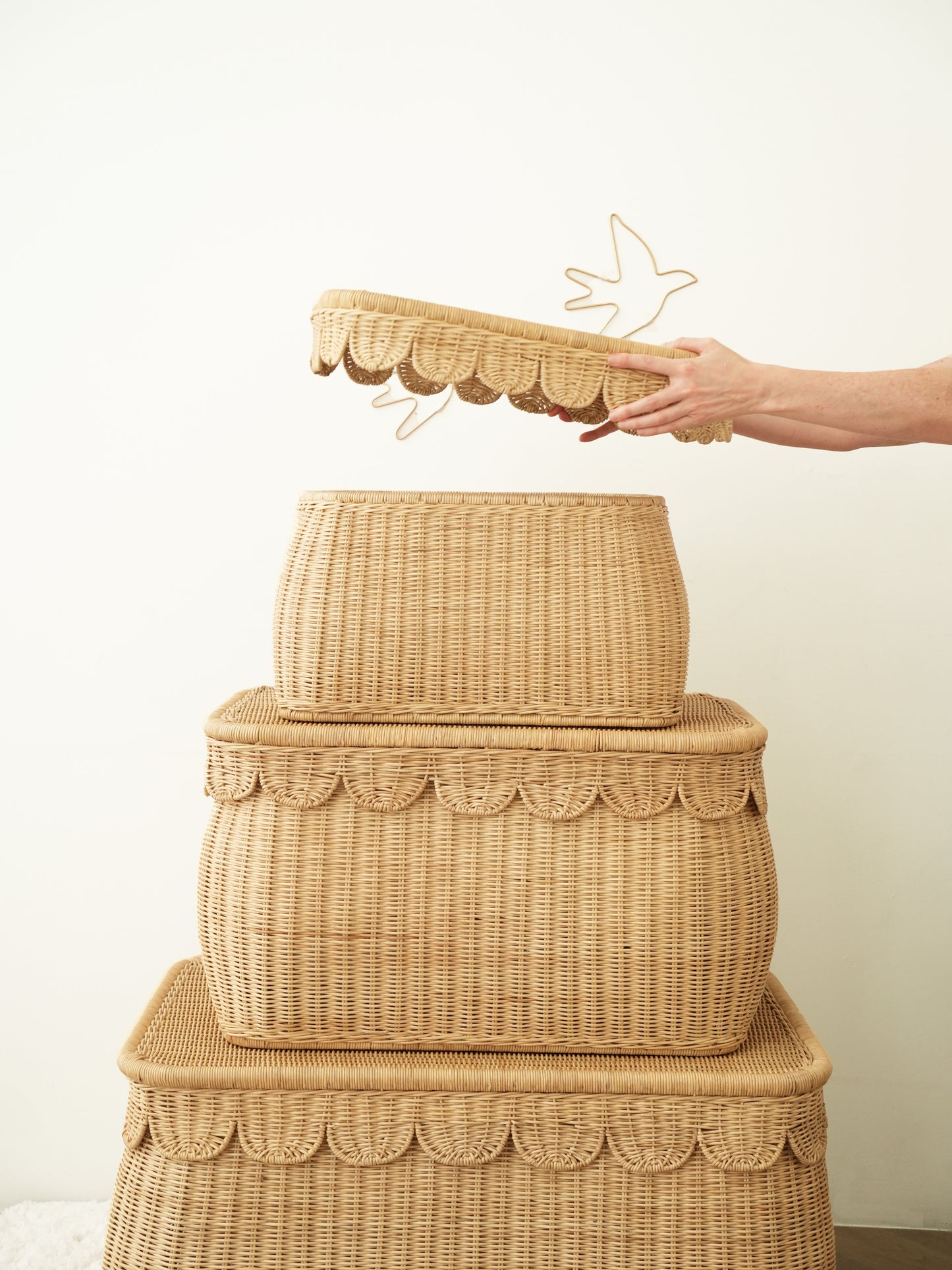 Scalloped Edges Storage