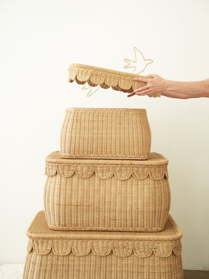 Scalloped Edges Storage