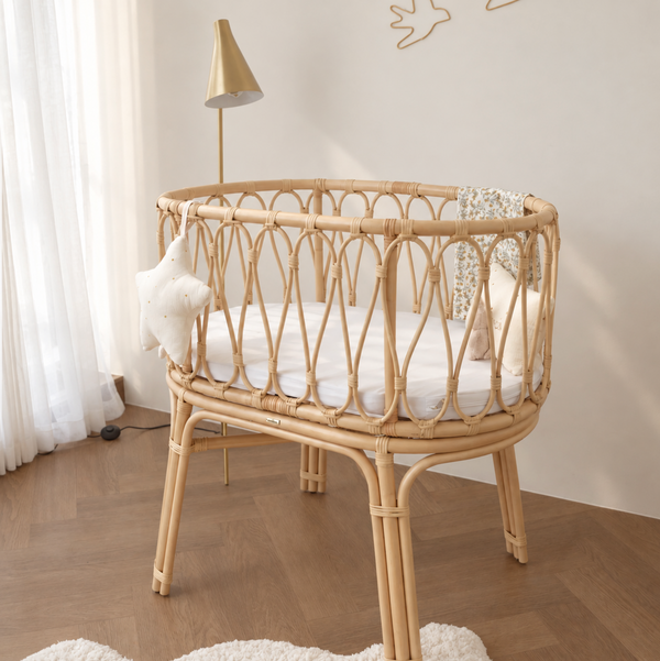 Newborn Sanctuary