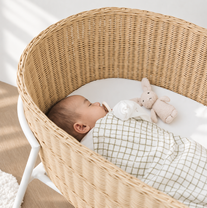 Keranjang Bayi Rotan Ayun