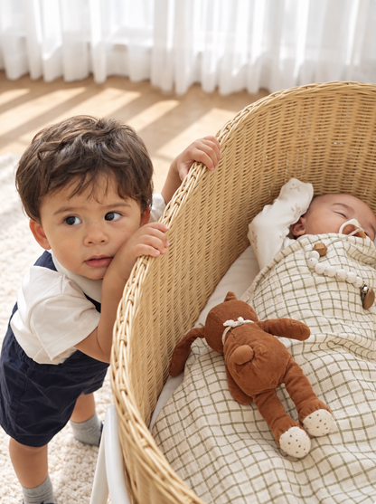 Keranjang Bayi Rotan Ayun