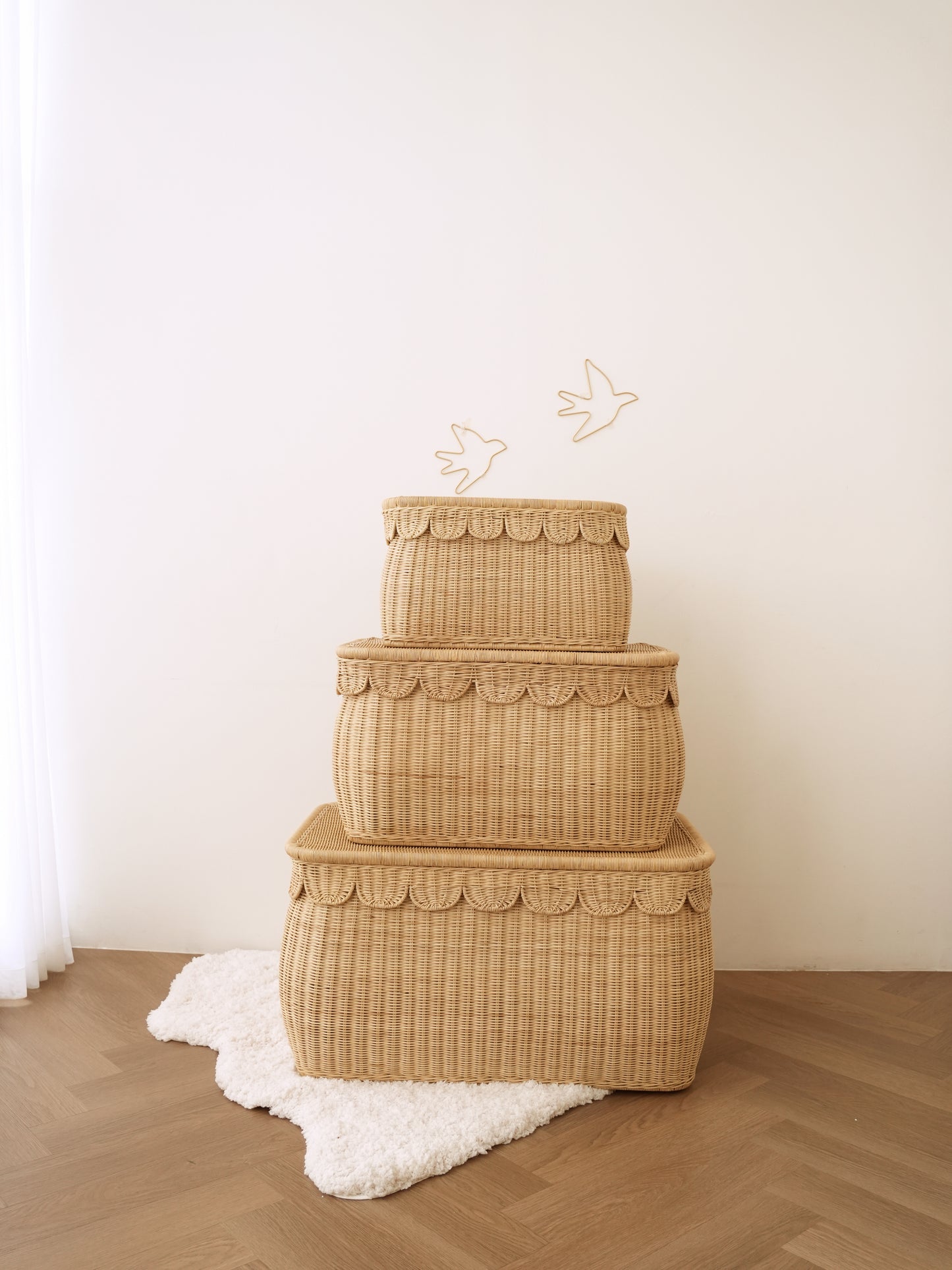 Scalloped Edges Storage