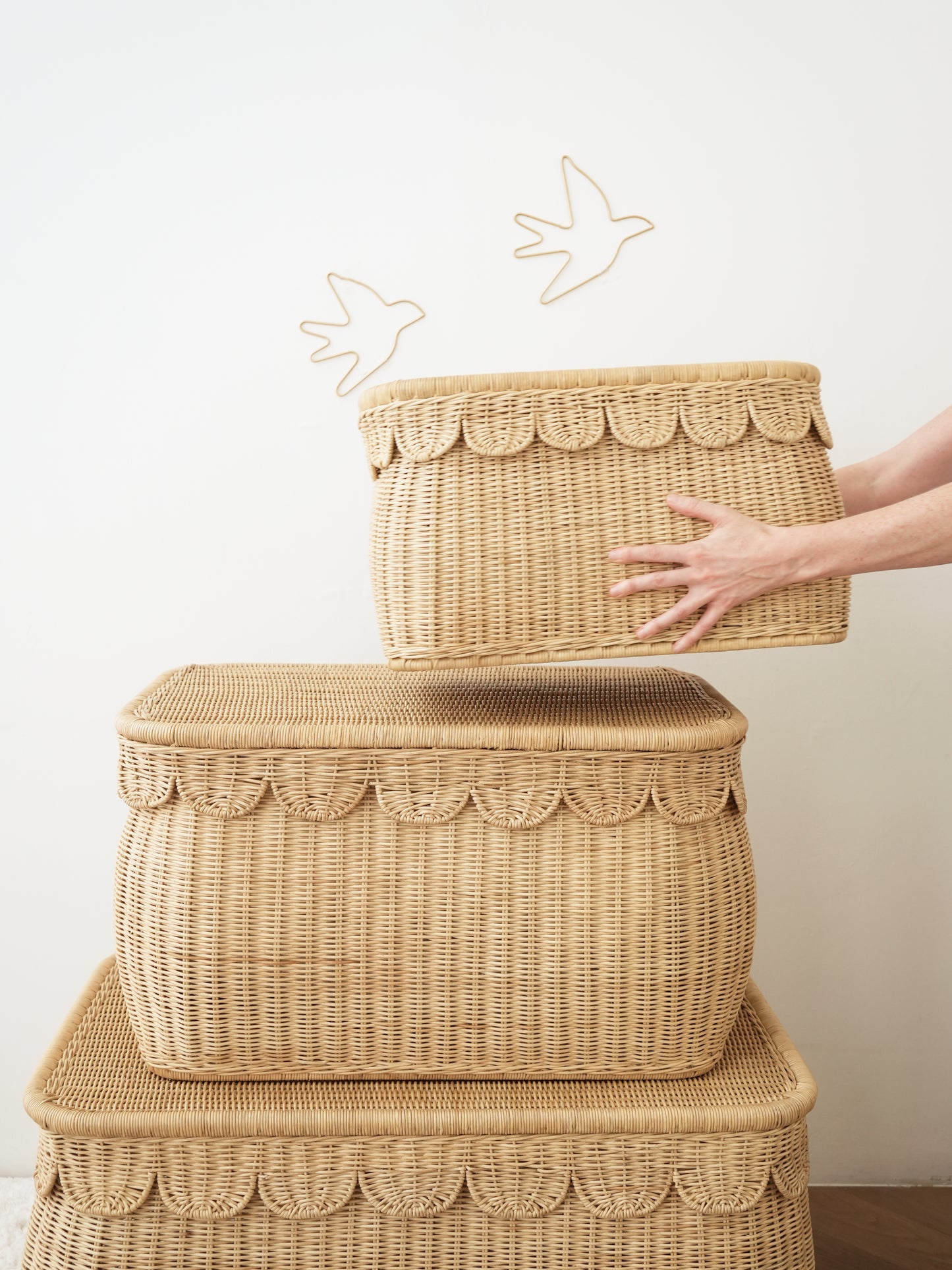 Scalloped Edges Storage