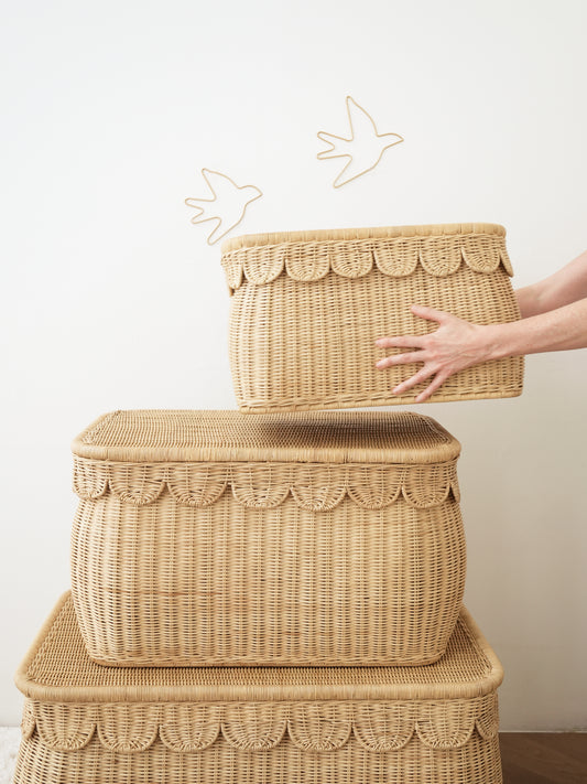 Scalloped Edges Storage