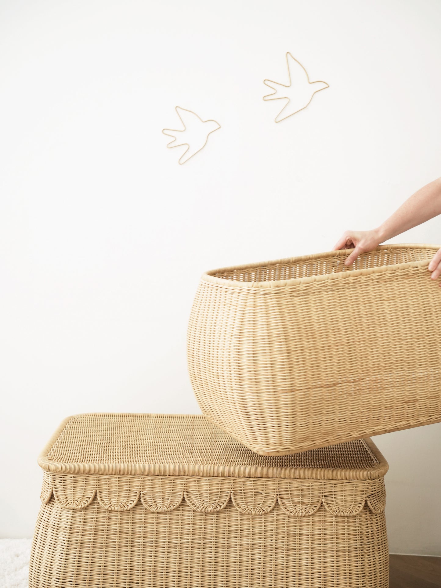 Scalloped Edges Storage